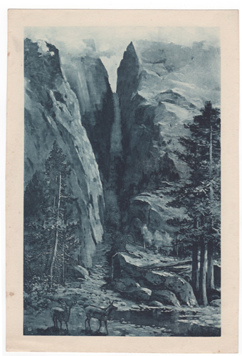 [Waterfall, deer]